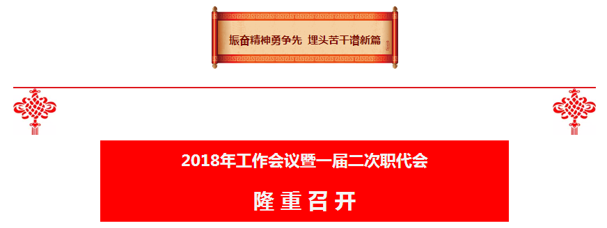 lewin乐玩官网集团2018年工作会议暨一届二次职代会隆沉召开