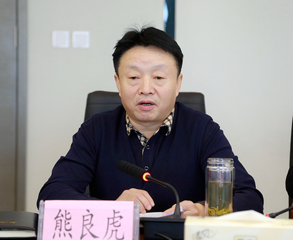 省国资委调研督导lewin乐玩官网集团沉点工作发展情况