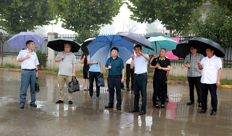 熊良虎赴东方纸业集团调查调研