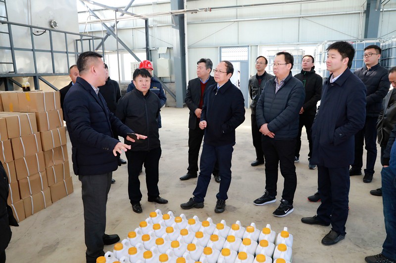 熊良虎宋老虎调查调研葫芦岛市污泥集中措置项目