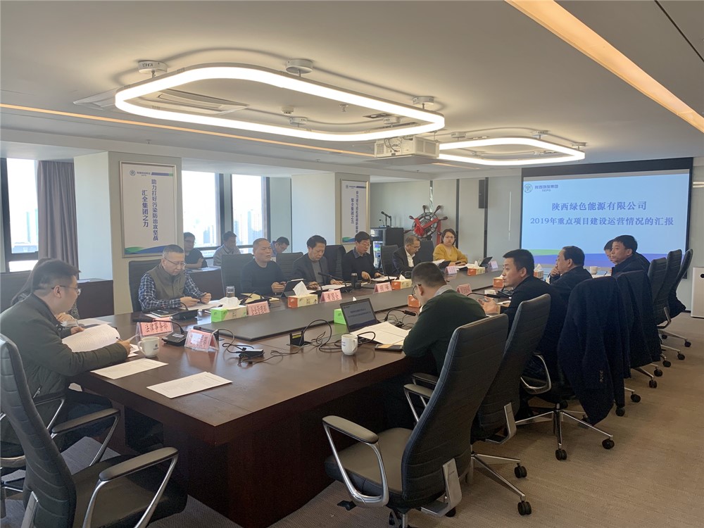 顾峰听取绿色能源公司沉点项目建设运营情况汇报