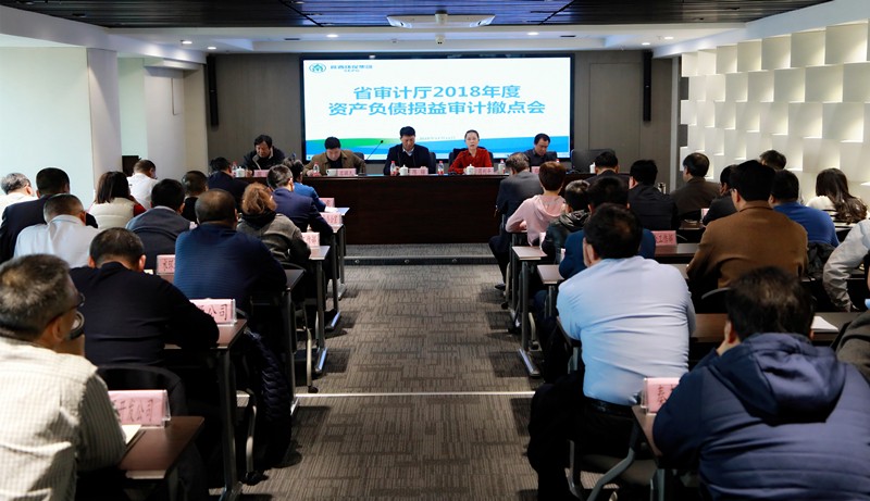 省审计厅对lewin乐玩官网集团2018年度资产负债损益审计撤点会召开
