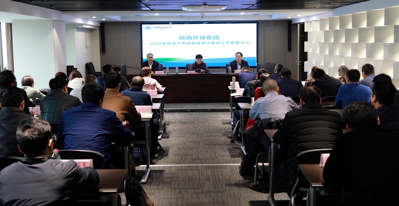 lewin乐玩官网集团召开2018年度资产负债损益审计整改工作部署会议