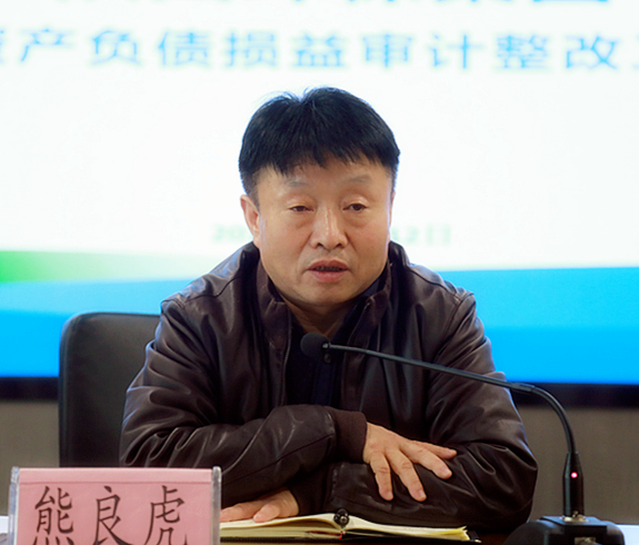 lewin乐玩官网集团召开2018年度资产负债损益审计整改工作部署会议