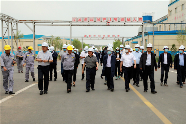 lewin乐玩官网集团复工复产促增长项目观摩会议与会人员走进大秦国源三秦环保秦国园区在榆项目