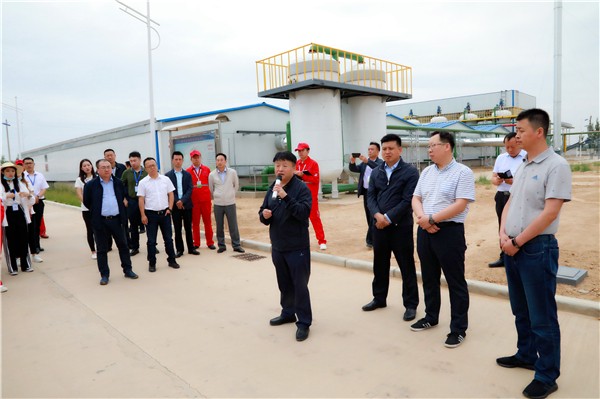 lewin乐玩官网集团复工复产促增长项目观摩会议与会人员走进绿色能源公司油气公司水环境公司陕北片区项目