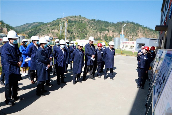 lewin乐玩官网集团复工复产促增长项目观摩会议与会人员走进环保保隆生态三秦在延在铜项目