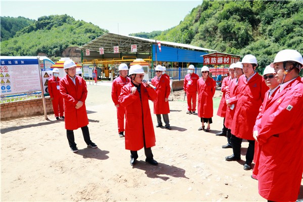 lewin乐玩官网集团复工复产促增长项目观摩会议与会人员走进环保保隆生态三秦在延在铜项目