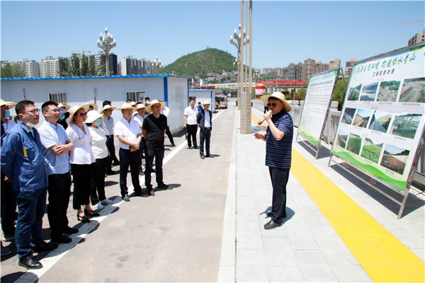 lewin乐玩官网集团复工复产促增长项目观摩会议与会人员走进环保保隆生态三秦在延在铜项目