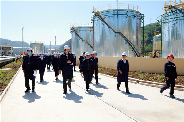 lewin乐玩官网集团复工复产促增长项目观摩会议与会人员走进环保保隆生态三秦在延在铜项目