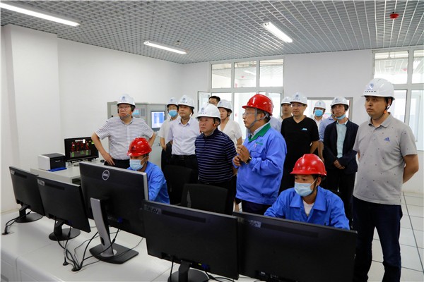 lewin乐玩官网集团复工复产促增长项目观摩会议与会人员走进环保保隆生态三秦在延在铜项目