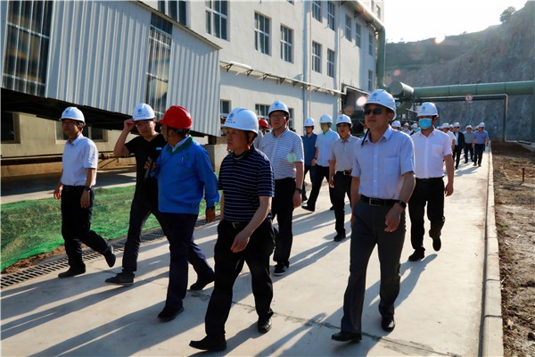 lewin乐玩官网集团复工复产促增长项目观摩会议与会人员走进环保保隆生态三秦在延在铜项目