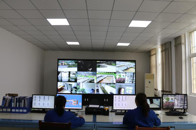 这个端午节，水环境人这么过（二）