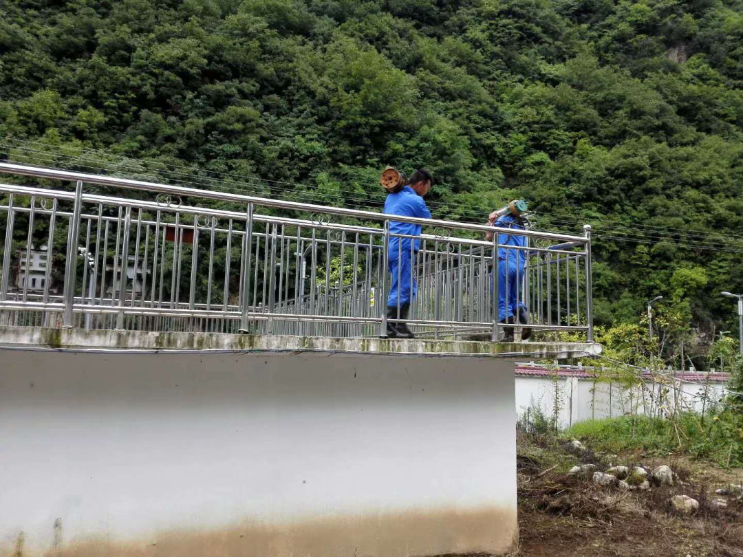 这个端午节，水环境人这么过（二）