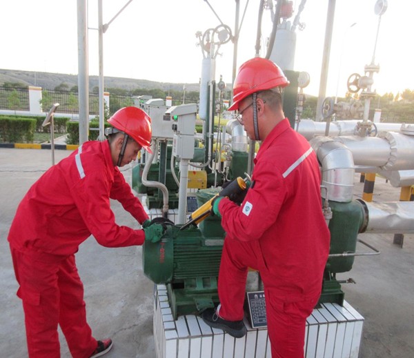 lewin乐玩官网集团发展国庆节前安全环保大查抄