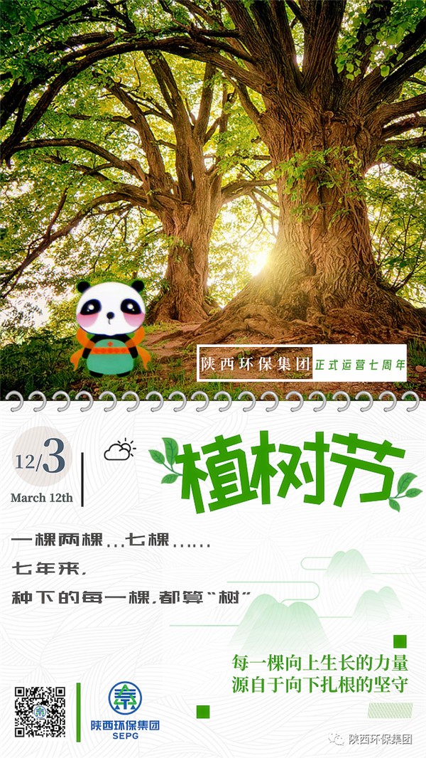 ★七年来，种下的每一棵，都算“树”